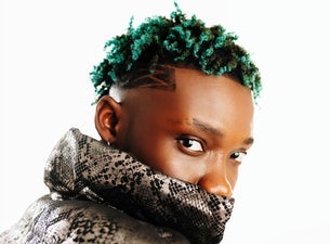 Bilde for arrangement Olivetheboy