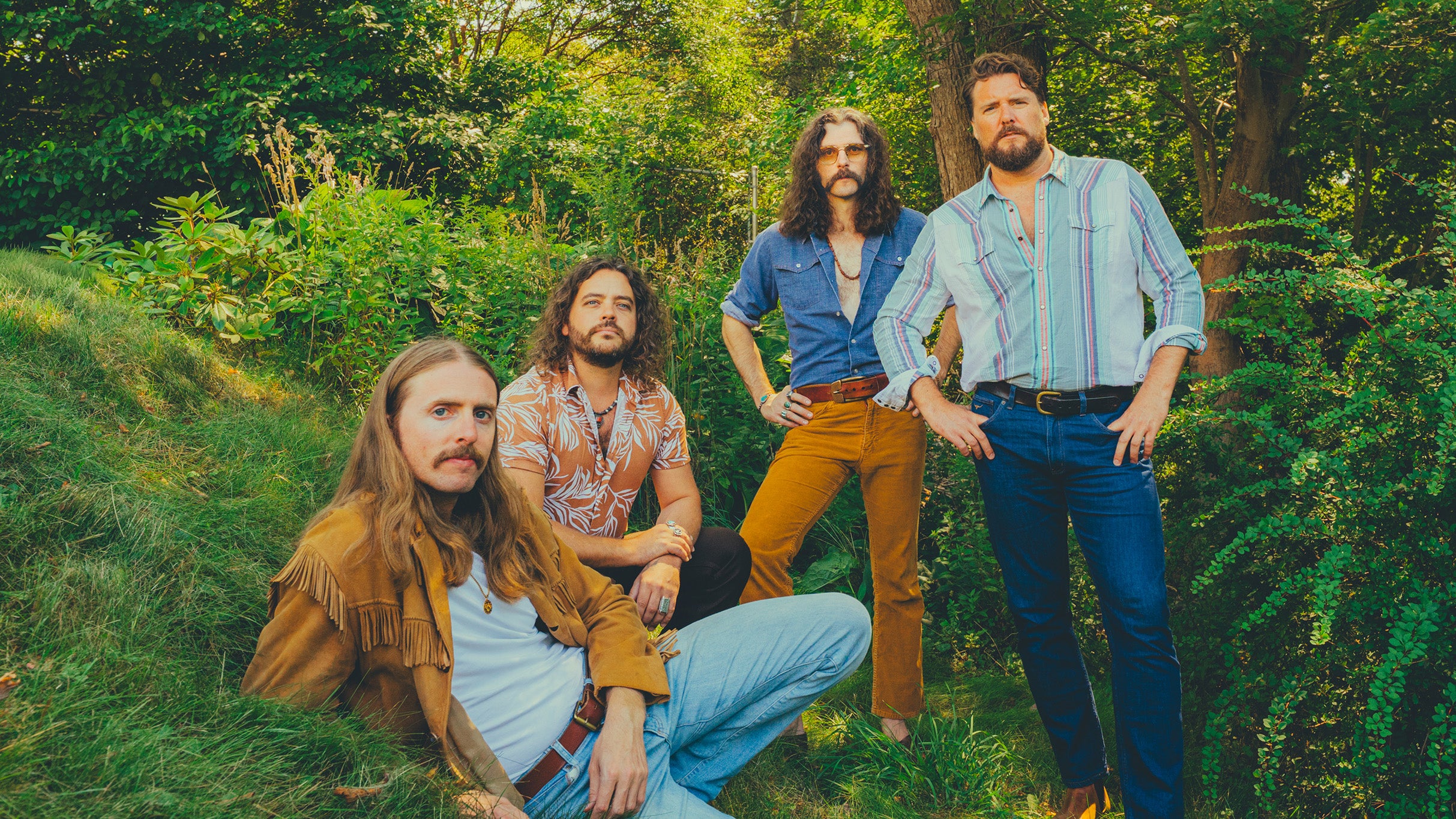 The Sheepdogs