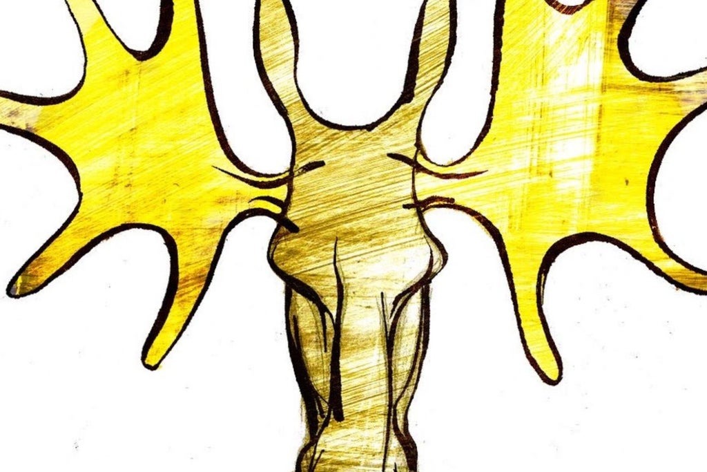 Ælj i solnedgang 2026 show poster