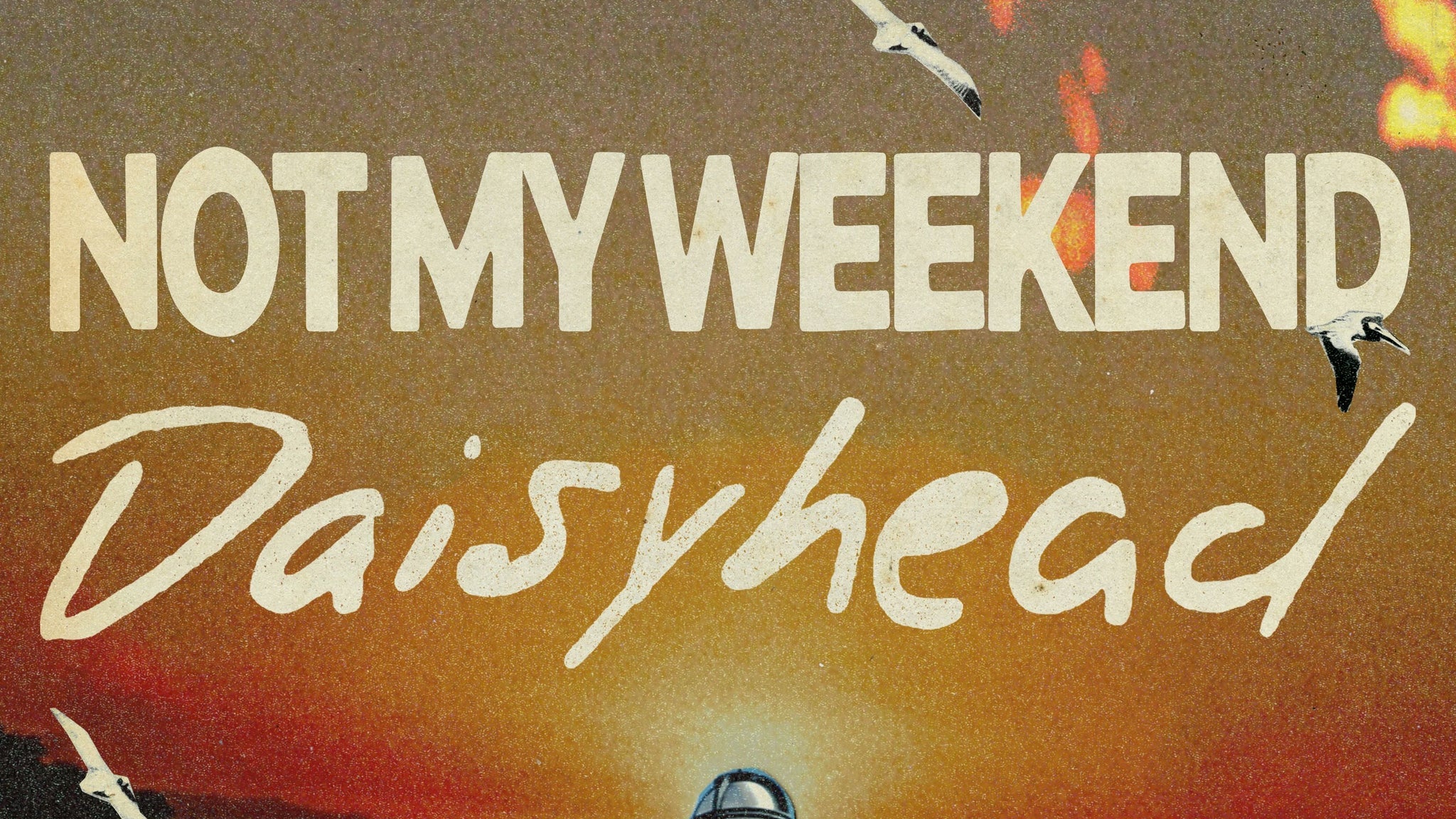Not My Weekend & Daisyhead