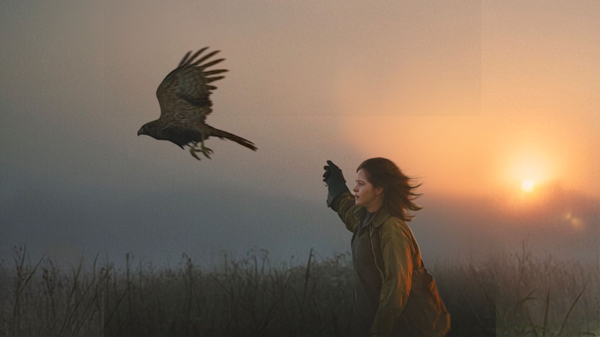 REEL Thursdays With TIFF Film Circuit: H Is for Hawk