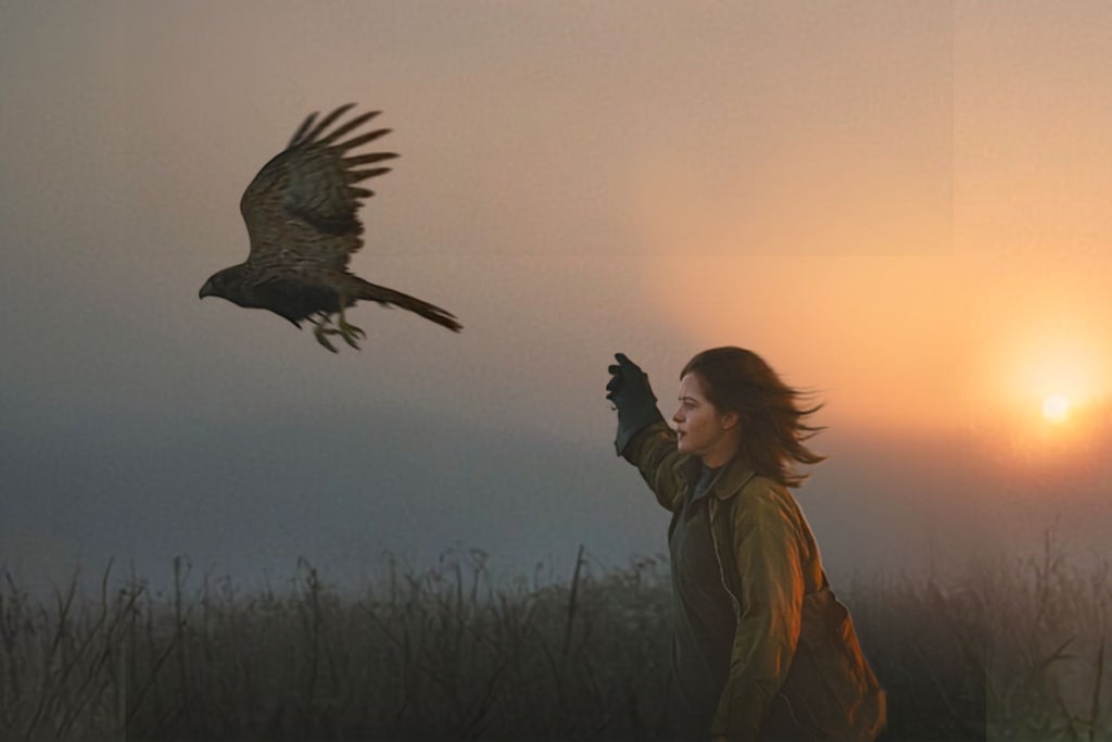 REEL Thursdays With TIFF Film Circuit: H Is for Hawk