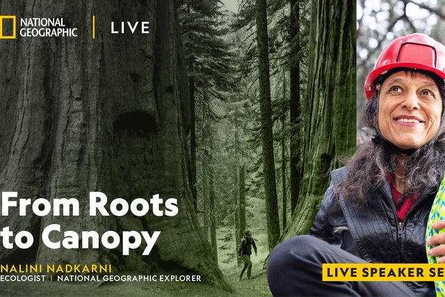 National Geographic Live - From Roots to Canopy in Vancouver promotional photo for Magazine presale tickets offer
