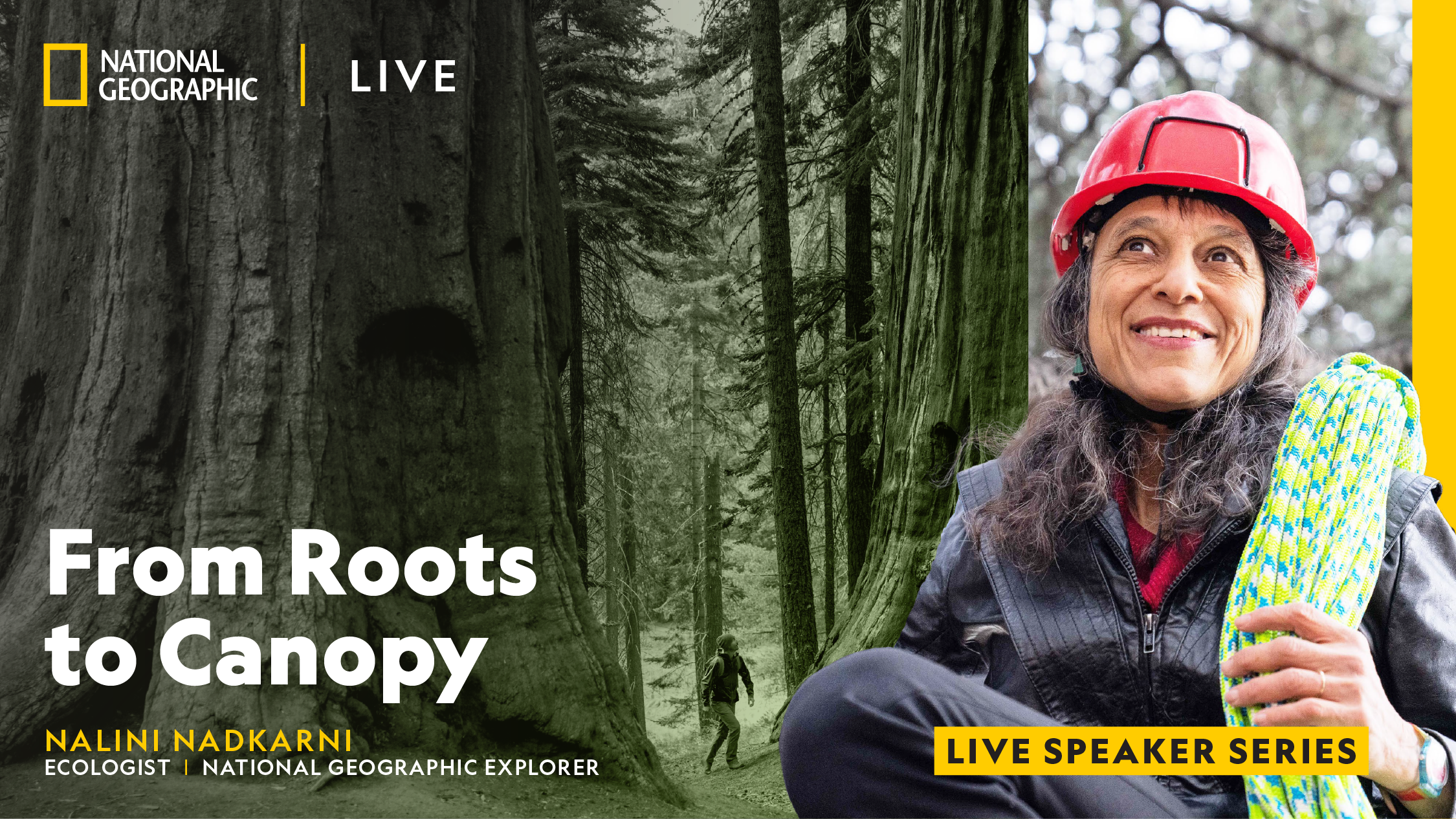 National Geographic Live - From Roots to Canopy