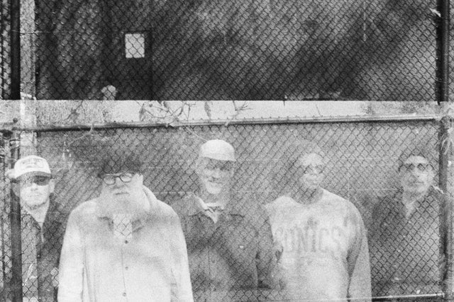 Tortoise presales in New York