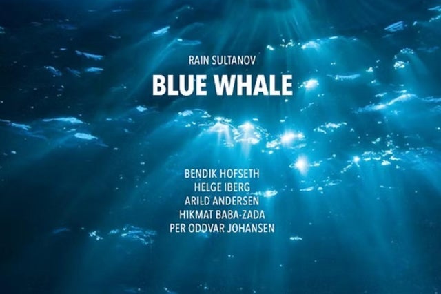 Ticket Reselling Blue Whale &ndash; Rain Sultanov