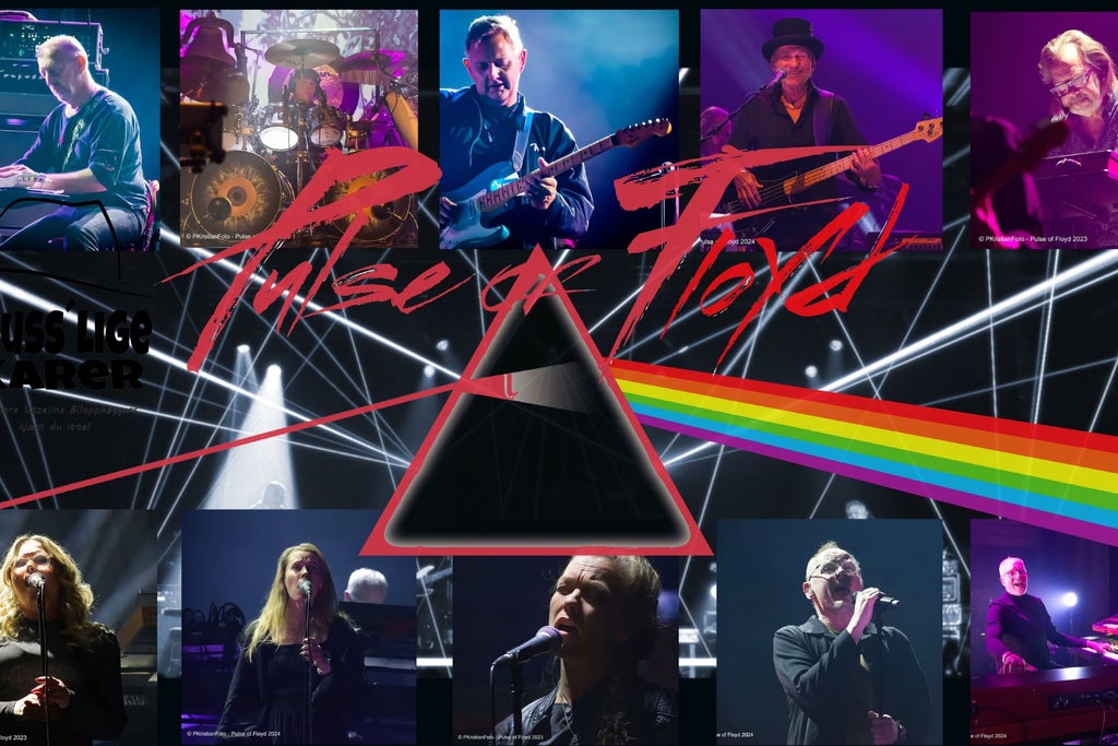 Delicate sound of Pink Floyd show poster