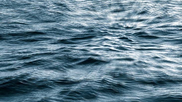 Schwimmen/ /42 in Zentrum für Kunst, Bremen 29/11/2025