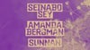 Seinabo Sey Amanda Bergman Sunnan support