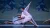 Ballet Midwest: The Nutcracker