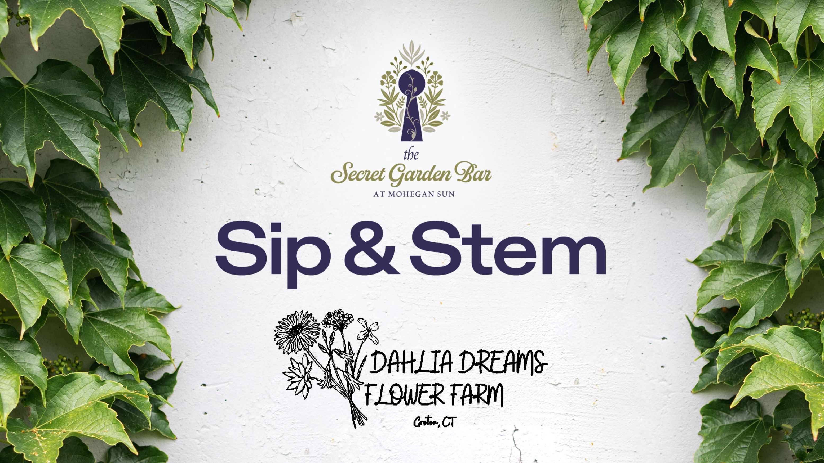 SIP & STEM