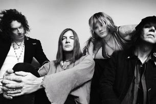 The Dandy Warhols Image