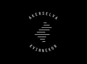 Bilde for arrangement Mørketidskonsert med Akerselva Kvinnekor