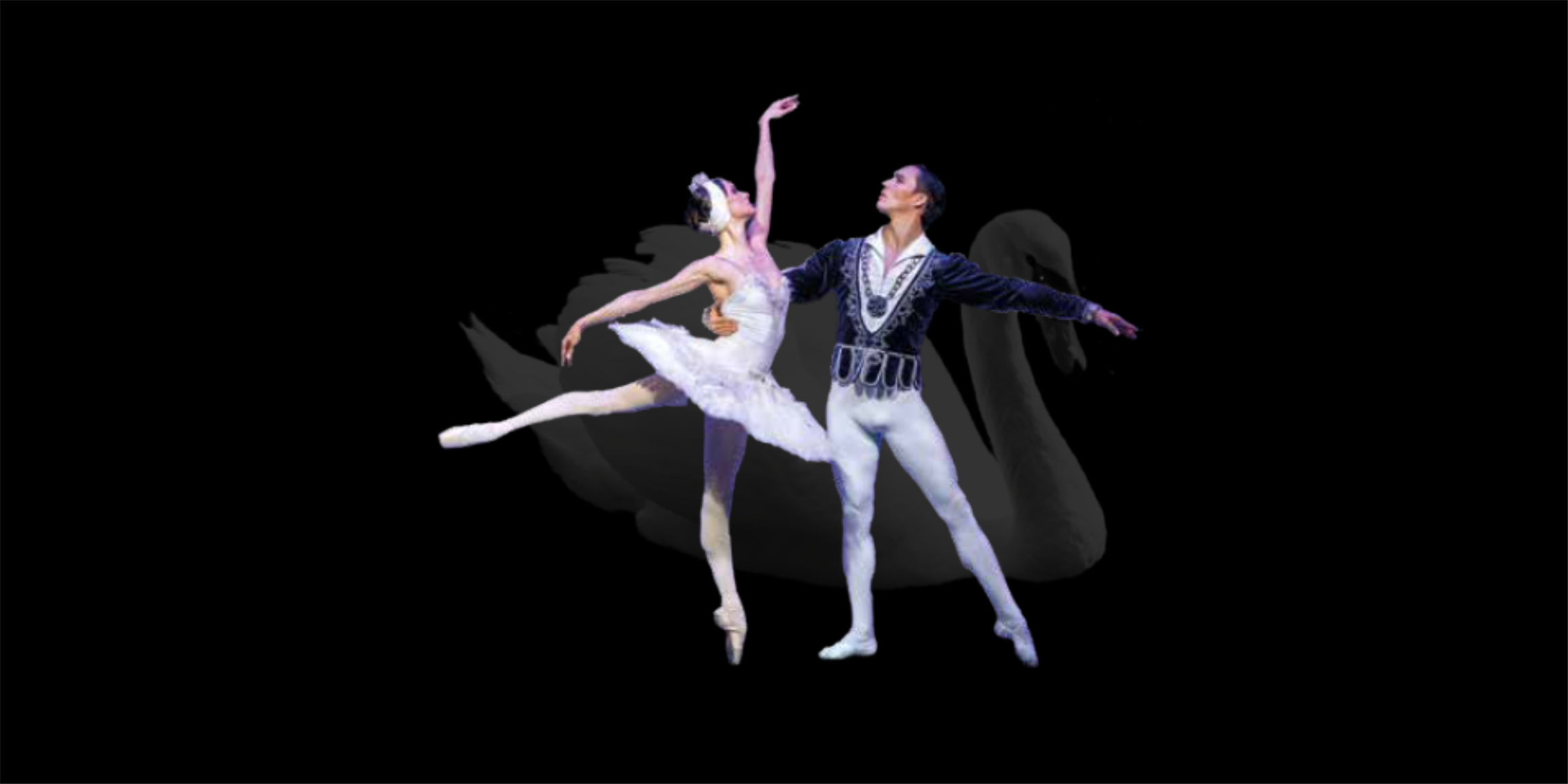 Presale codes for swan lake: members use these when buying pre-sale tickets