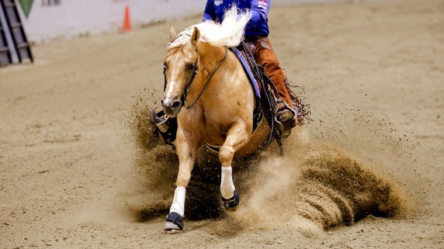 The Run for a Million Reining Challenge