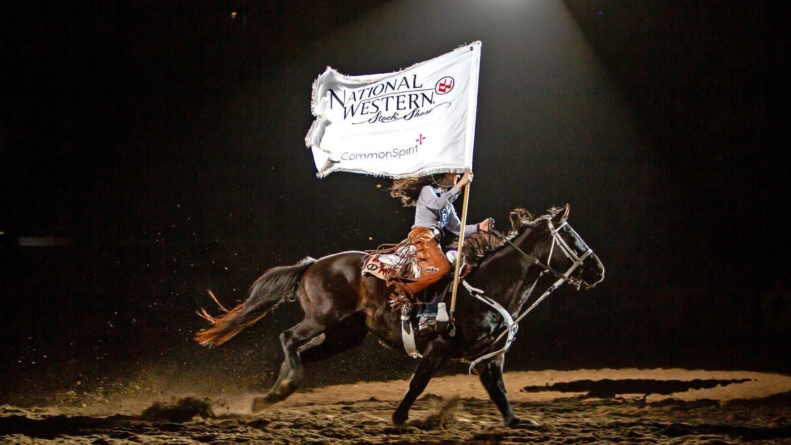 Freestyle Reining - Sun. Jan. 11 3pm