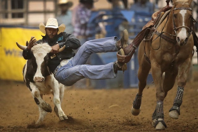 Presales to 5th annual bayou black rodeo: members use these when buying pre-sale tickets