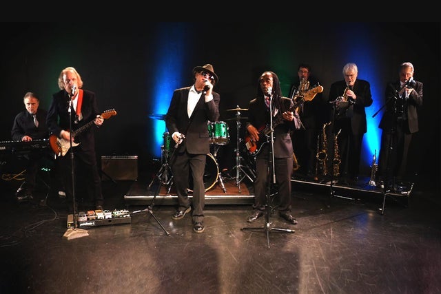 Wild Night - Tribute to Van Morrison