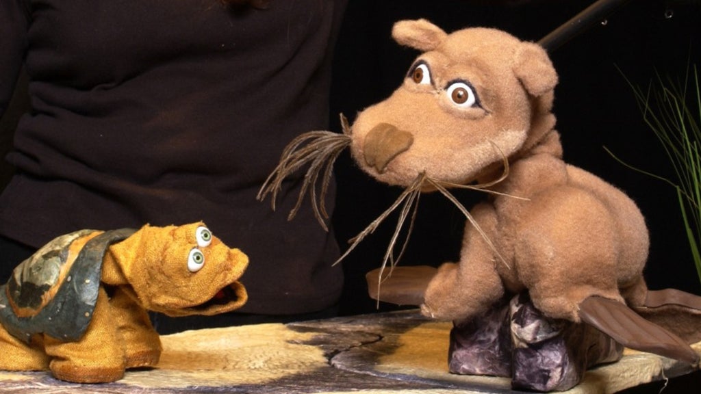 Photo of Galapagos George