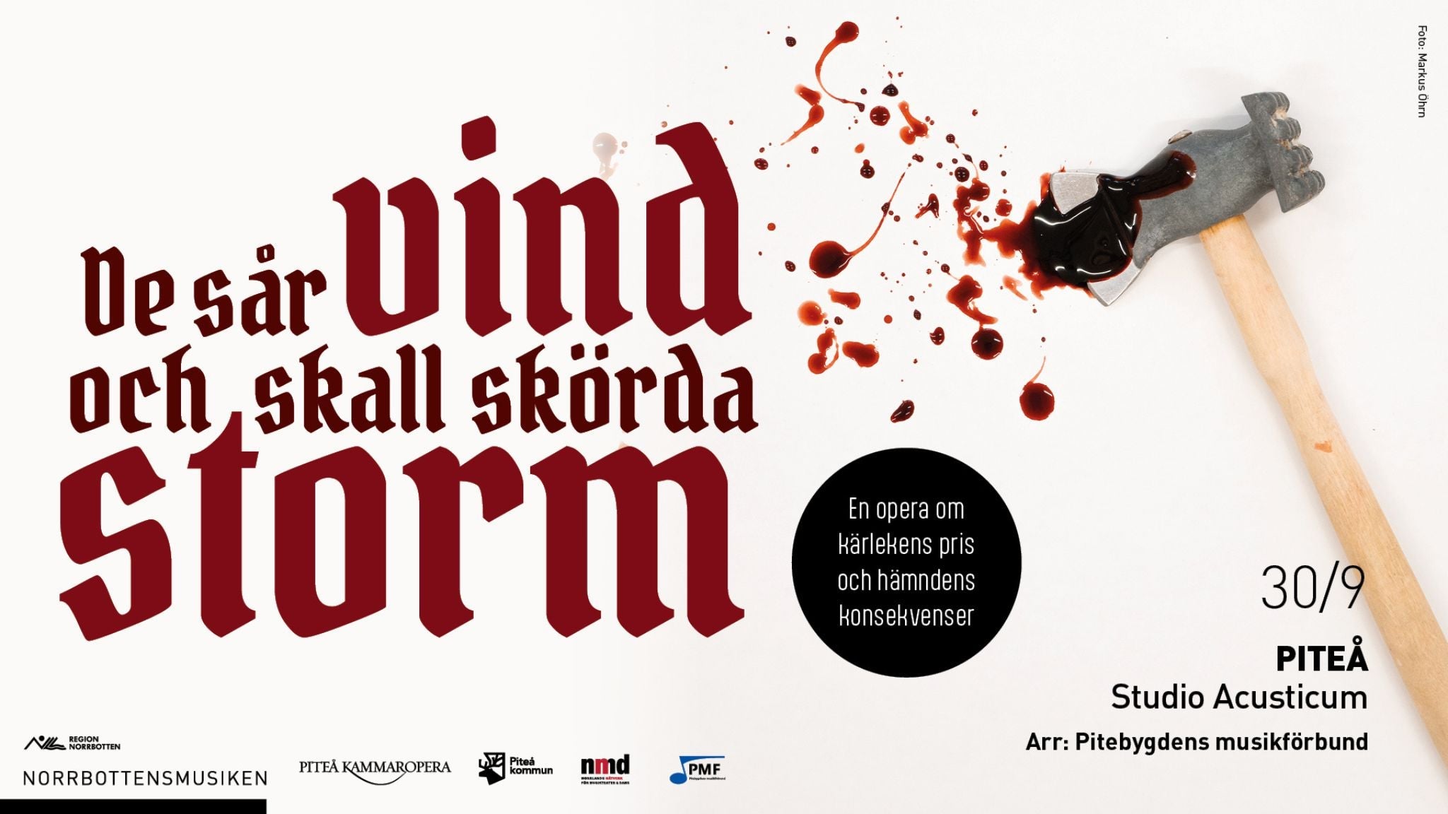 De sår vind och skall skörda storm - Teatro en Piteå
