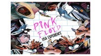 Pink Floyd USA Experience