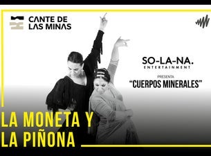 Cuerpos Minerales La Piñona y La Moneta de SO-LA-NA-Cante de las Minas