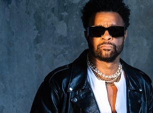 Bilde for arrangement Shaggy