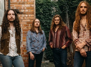 The Band Feel