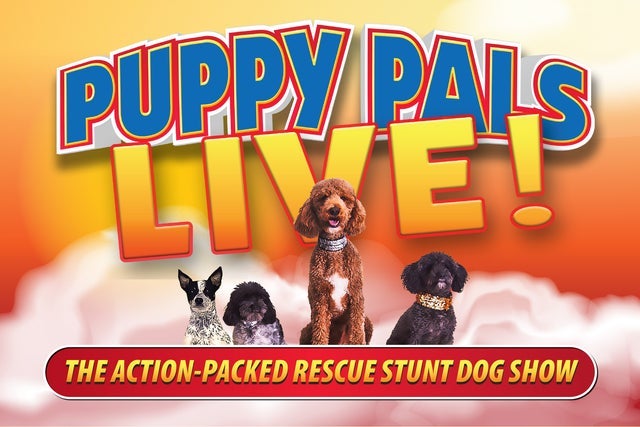 Puppy Pals Live