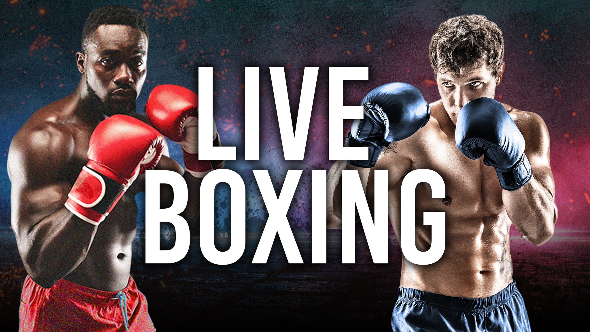 Fight Night - Live Boxing hero