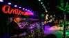 The Jungle Show w/ Gibbons, Vaughan, Flanigin & Layton