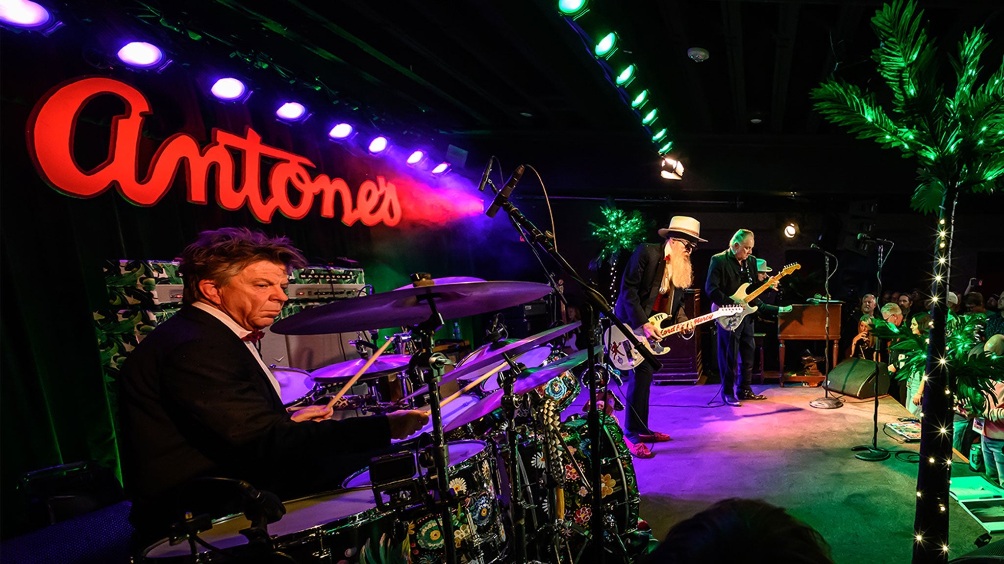 The Jungle Show w/ Gibbons, Vaughan, Flanigin & Layton