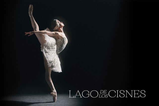 Lago de los Cisnes