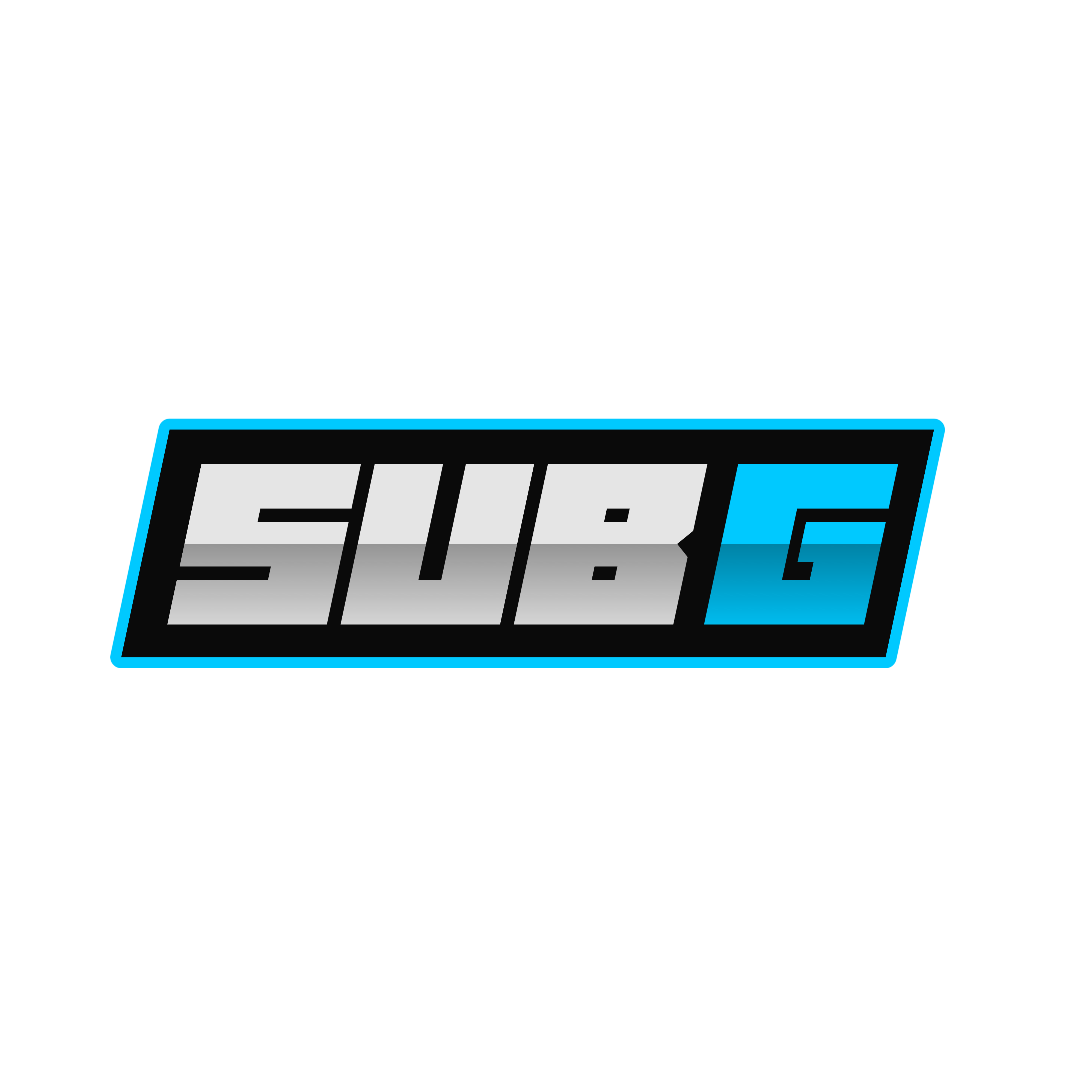SUBG