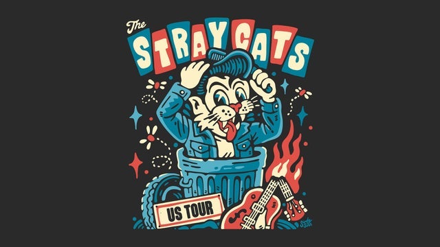 THE Stray CATS