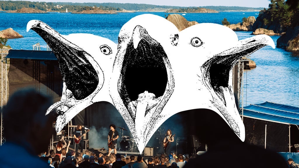 Måkeskrik 2026