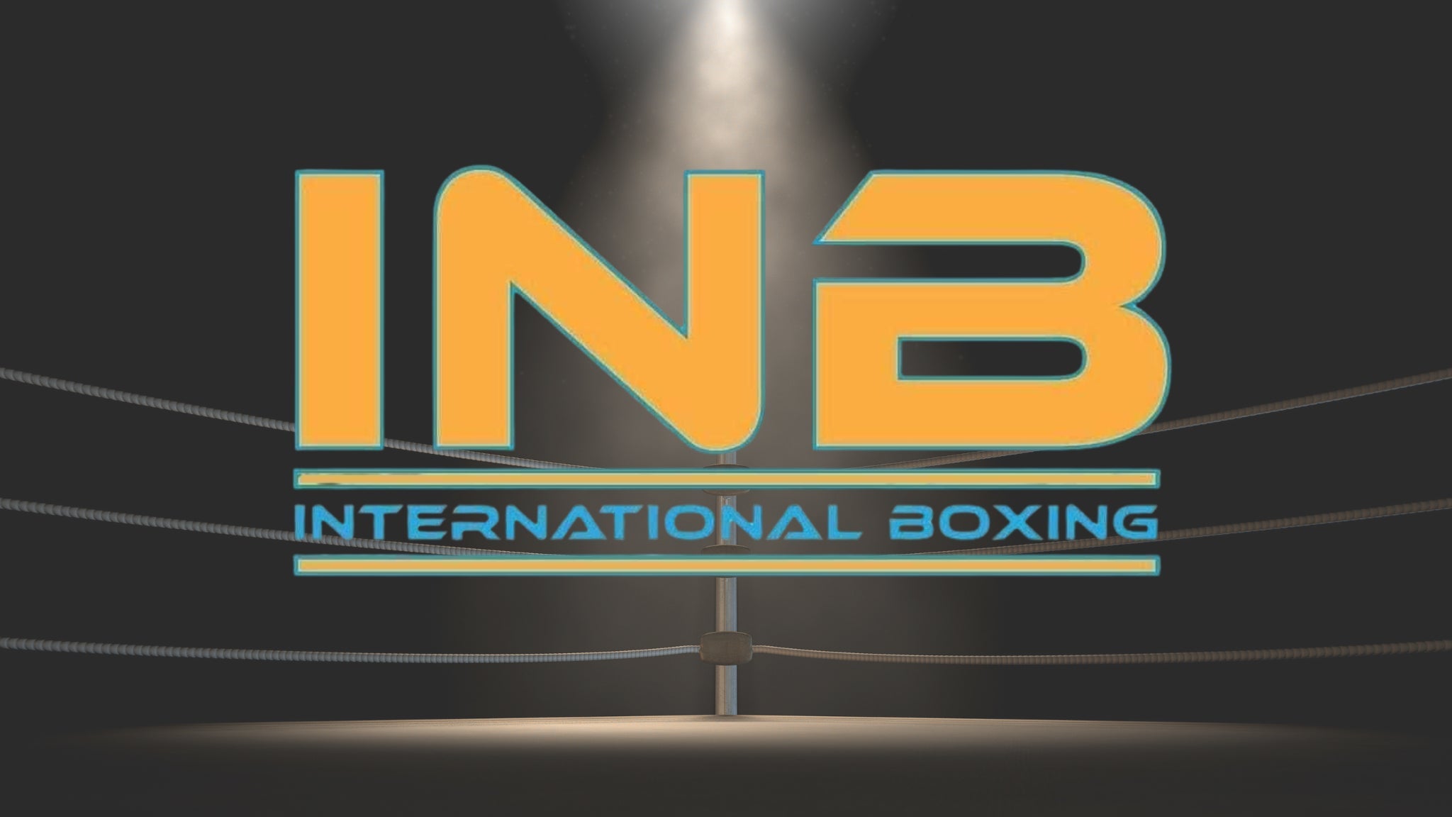 International Boxing