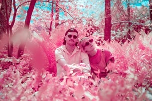 Pink Halo: 'Daydream' Album Release Show