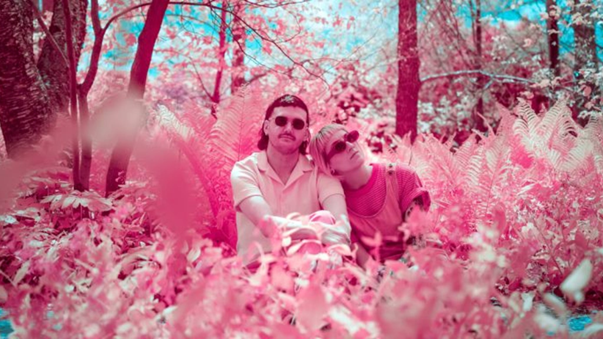 Pink Halo: 'Daydream' Album Release Show