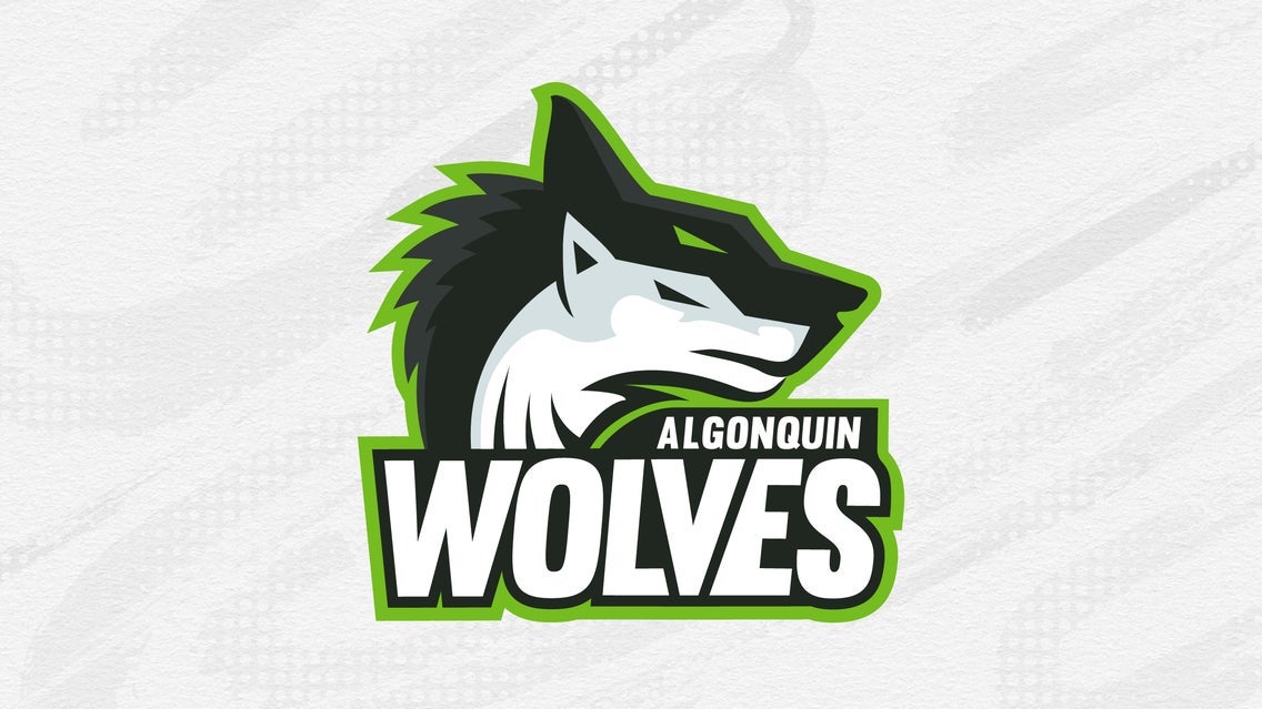 Varsity Volleyball: Algonquin Wolves vs. Seneca Sting