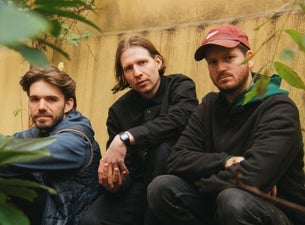 Bilde for arrangement Hvalfugl