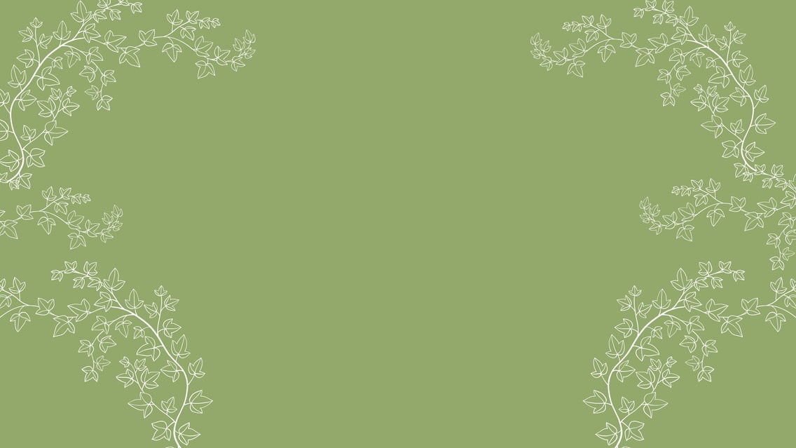 Bravo Academy's Advanced Teens Presents Anne & Gilbert: The Musical