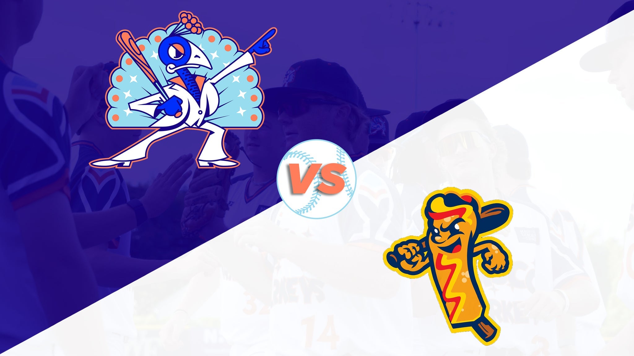 Carolina Disco Turkeys Vs Queen City Corndogs