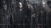 Wolves In The Throne Room