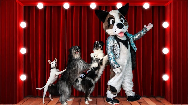 Canine Circus Presents: Dogs Do Magic in The Elgin & Winter Garden Theatres, Toronto 20/03/2026
