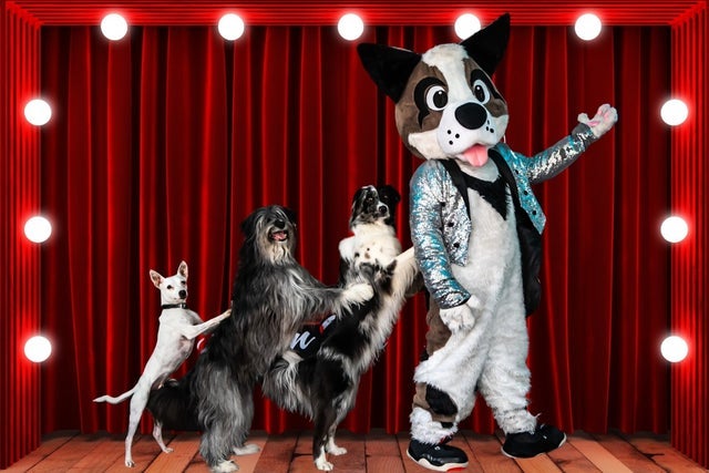 Canine Circus Presents: Dogs Do Magic