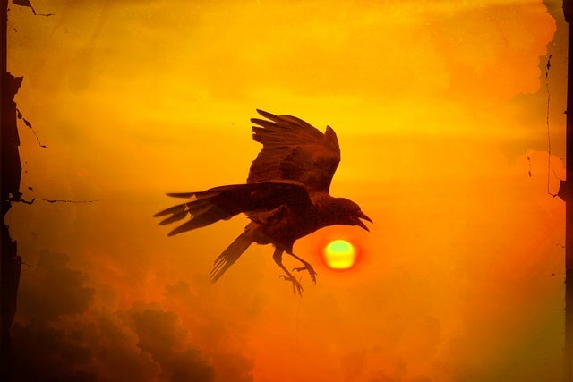 Melissa Etheridge: RISE in Pickering: pre-sale passwords Melissa Etheridge: RISE in Pickering promotional photo for Ticketmaster presale tickets offer