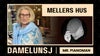 Damelunsj med Mellers Hus