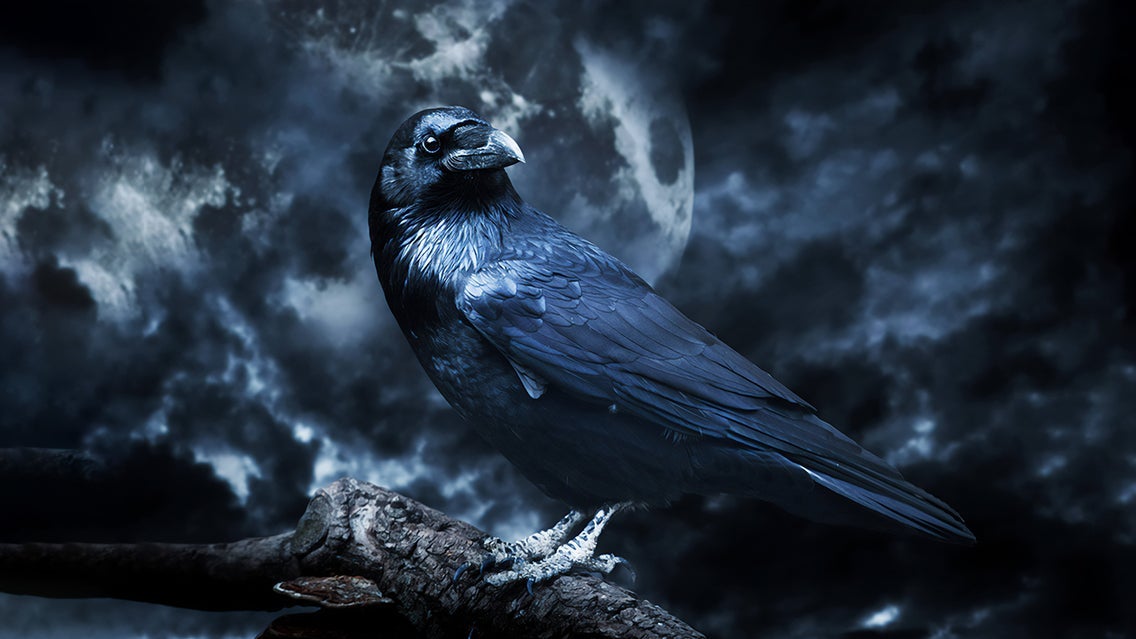 Edgar Allan Poe Speakeasy