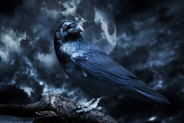 Edgar Allan Poe Speakeasy